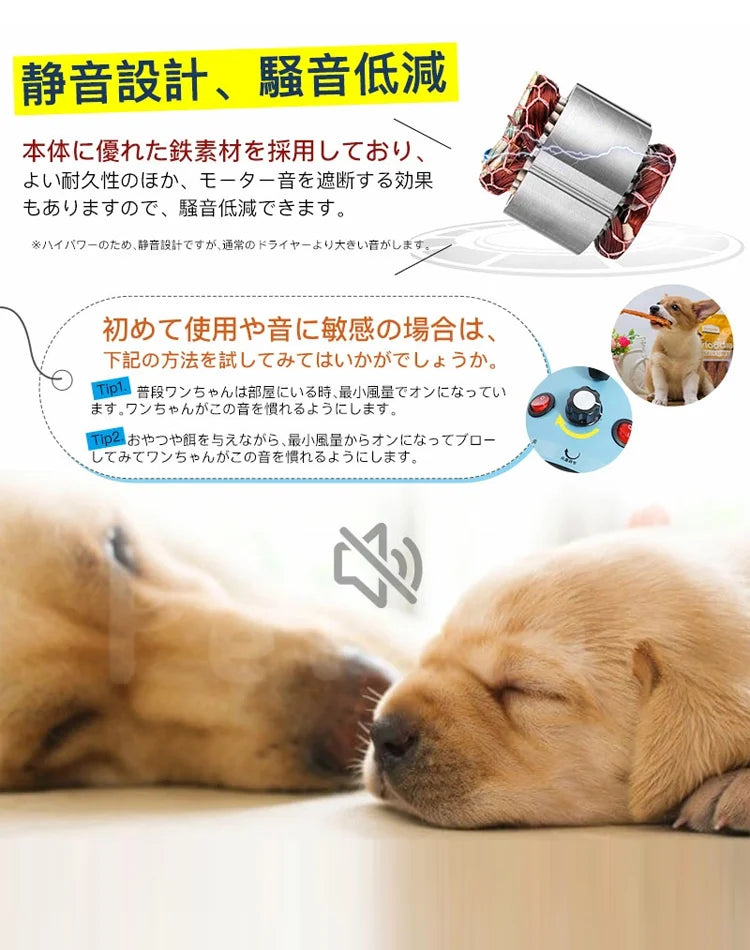 3in1ペットドライヤー