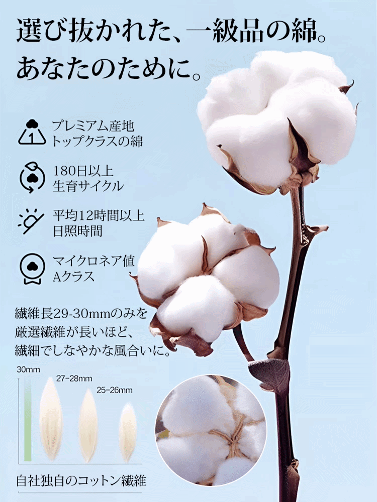 無地コーデュロイストライプメンズショートパンツ